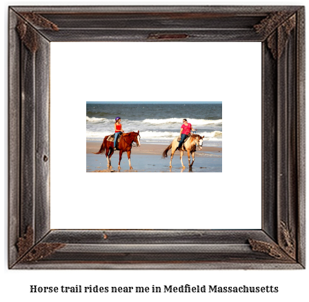 horse trail rides near me in Medfield, Massachusetts